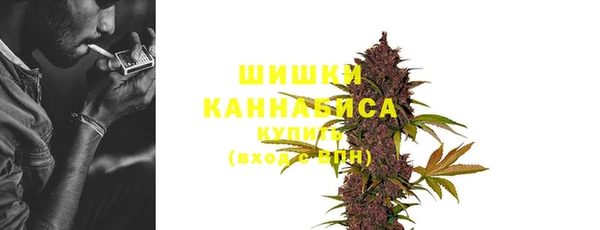шишки Верея