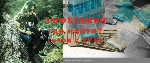 шишки Верея
