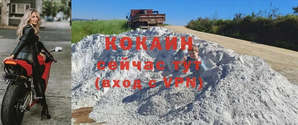 шишки Верея