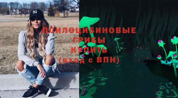 ГАЛЛЮЦИНОГЕННЫЕ ГРИБЫ Верхний Тагил