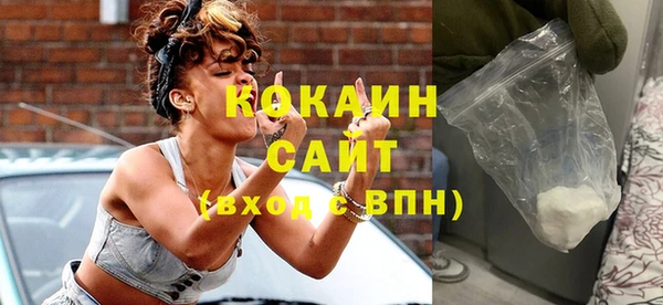 шишки Верея