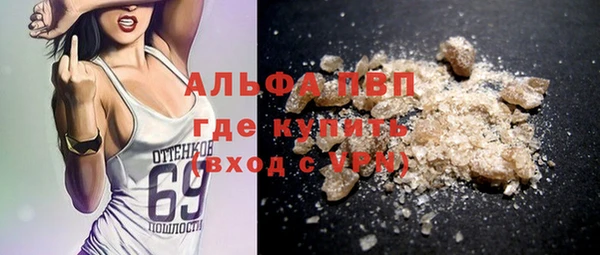 шишки Верея