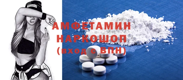шишки Верея