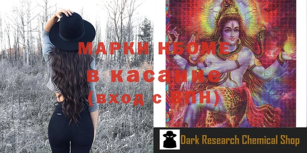 шишки Верея