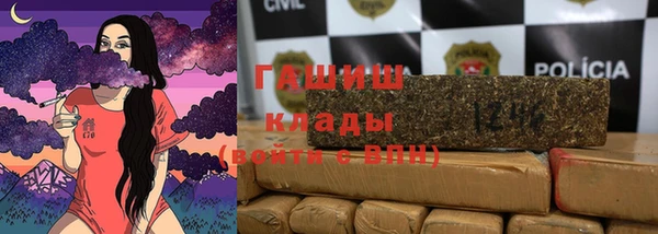 шишки Верея