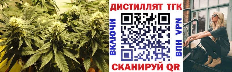 ТГК Wax  Купить  Судак 